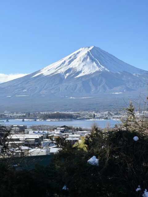 どうしても行きたくなって